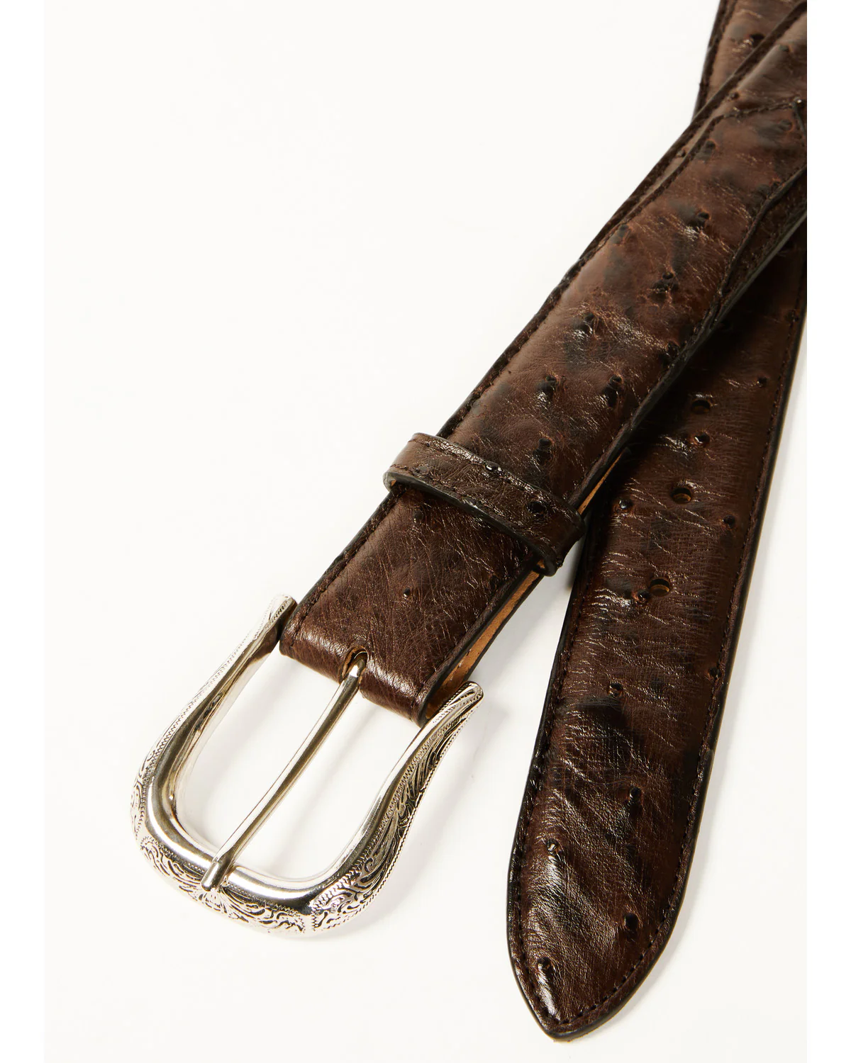Cody James Black 1978™ Men's Exotic Full-Quill Ostrich Belt - Image 2